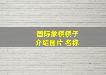 国际象棋棋子介绍图片 名称